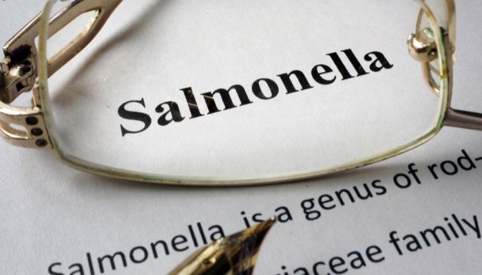 Salmonella – what to look out for and how to avoid it